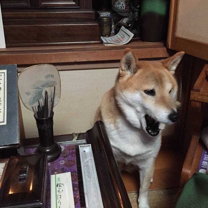 7187e0e2 95b0 4243 bf55 e79cf4d9612b