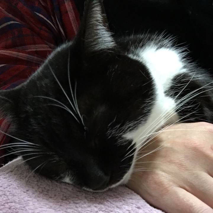 7187e59c 188a 4169 8f36 d0a6d62e7d2e