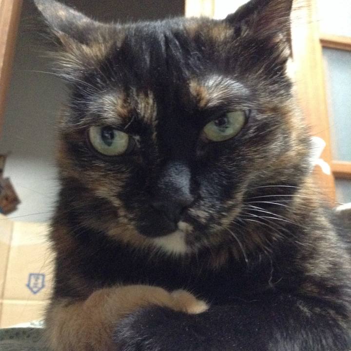 71881c5c 361d 4edd ae6a 74e27eca1f1e