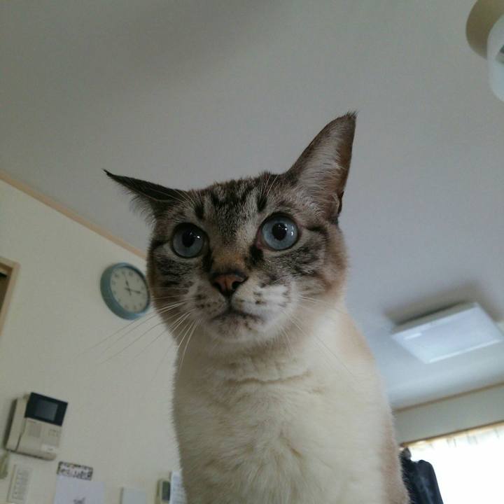 71884f0e 2134 4d95 86fb 1945a4087e90