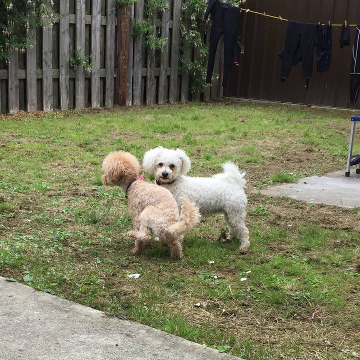 71888e2c cbea 4fdf 8ac8 4f834c2034e1