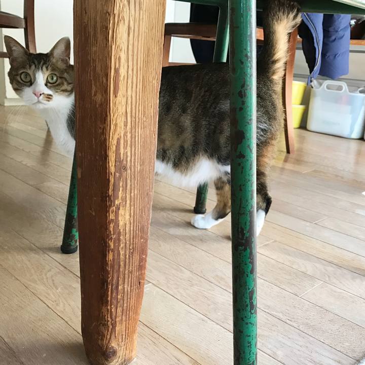 7188bdc6 adce 418c a50e 77731e2e4eb0