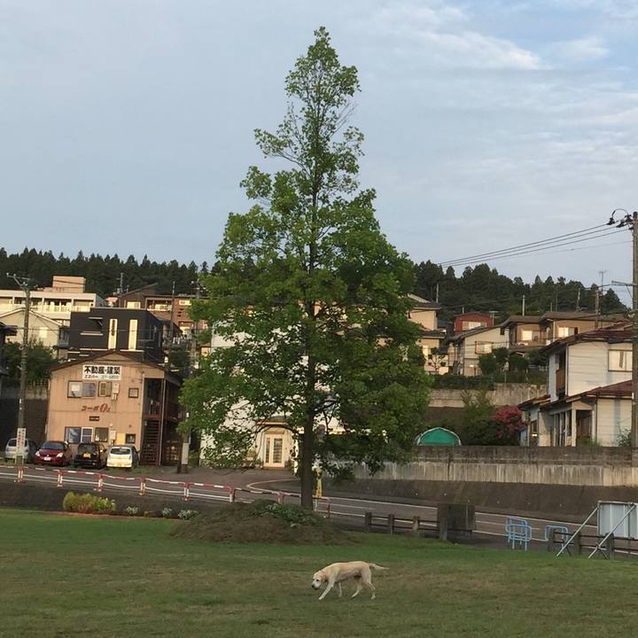 71890f9d ba92 437a a7b6 6c17c63318de