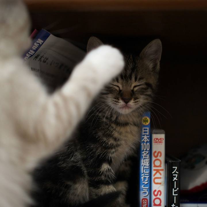 718a0568 06d9 48c6 8706 24caa778e5e7