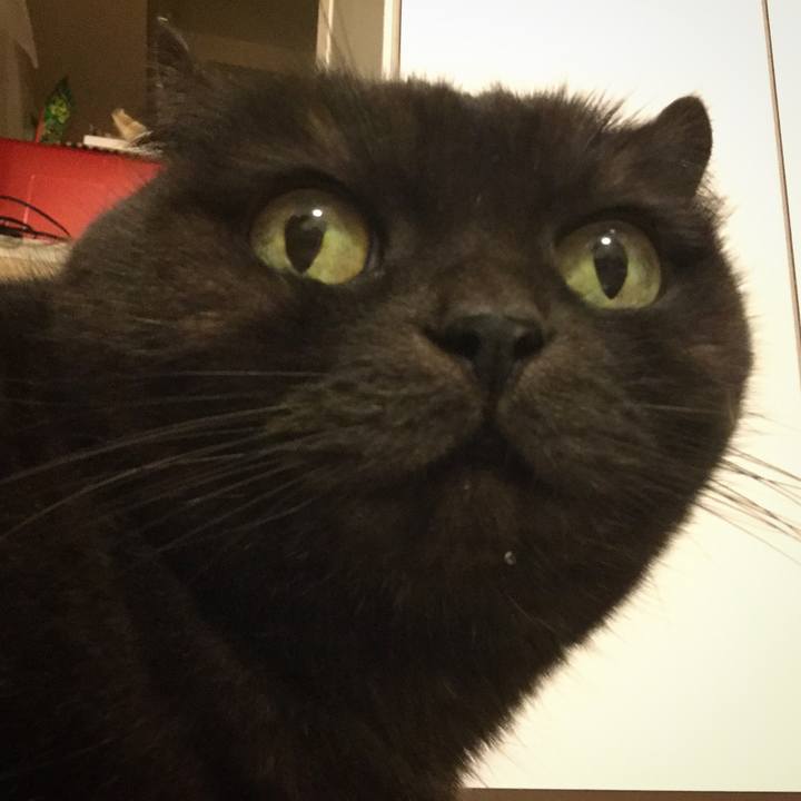 718a4293 fe5b 4687 8685 105e24202a22