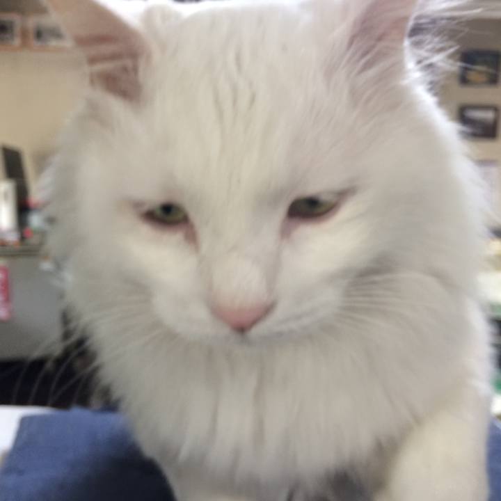 718acd3e 3925 4069 8802 4edba22378e3