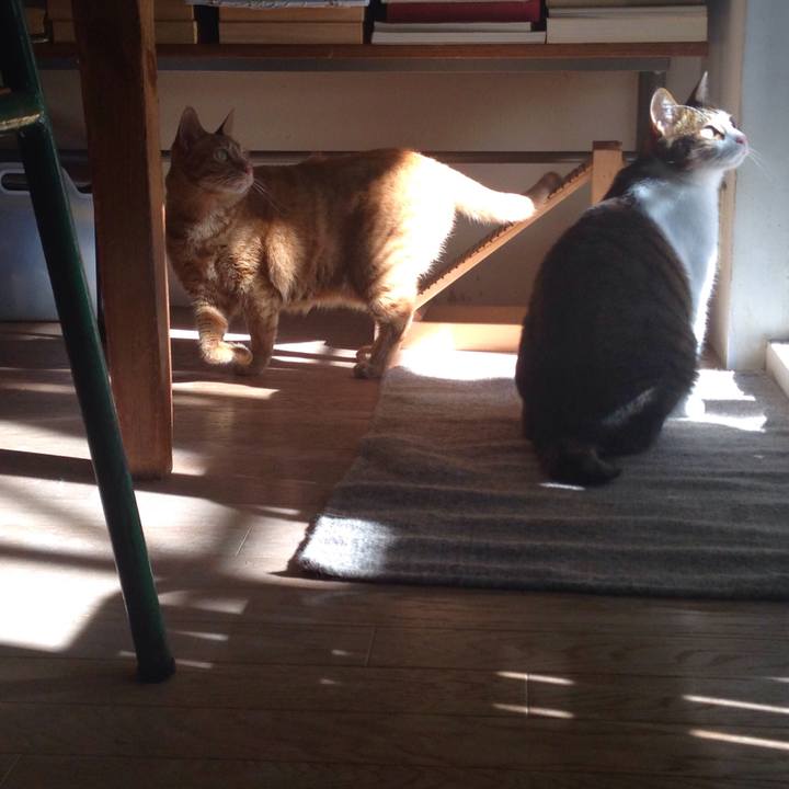 718b5946 8218 4584 8aa8 d7c5c813232e