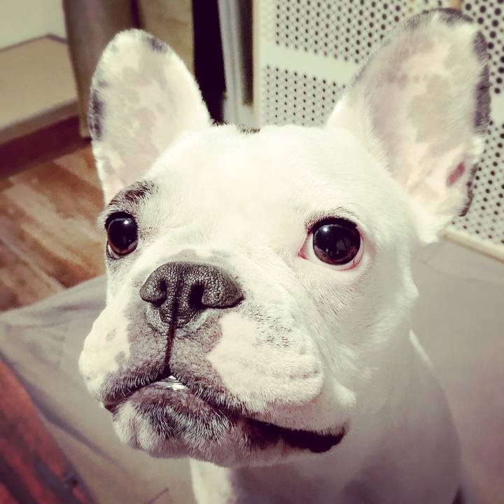 718b905a de89 480e 8d13 61424ec311c7