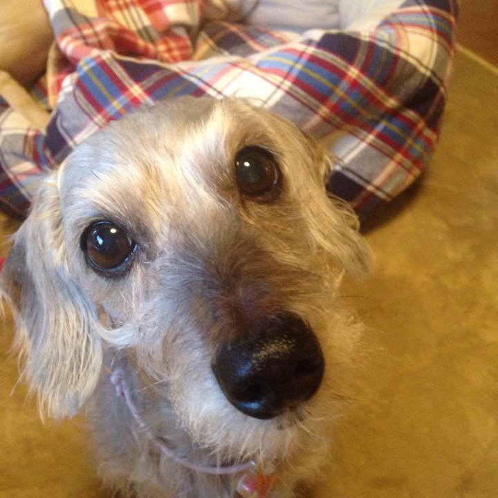 718beac5 6c53 433c bf76 ef49841ffbbe