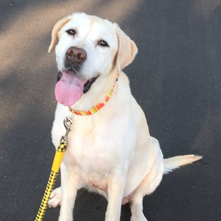 718c53d3 486e 465b af04 3ba3a3ad67aa