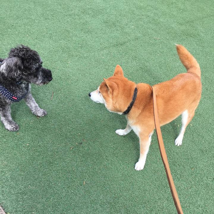 718c8e5d bc2a 490c b9a3 d5012e5343af