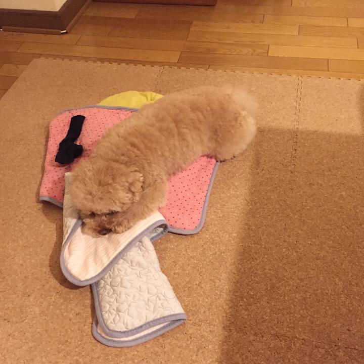 718d324c 8e91 48fa b164 8318c02c58c1