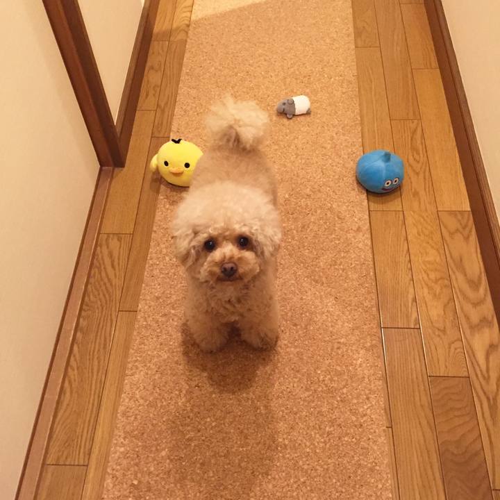 718d5f31 37ba 47b6 9dea a351e6029f5e