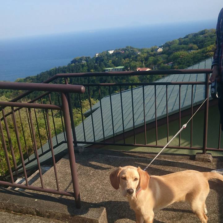 718ddac2 e178 4cb4 b4aa 480ccb048183