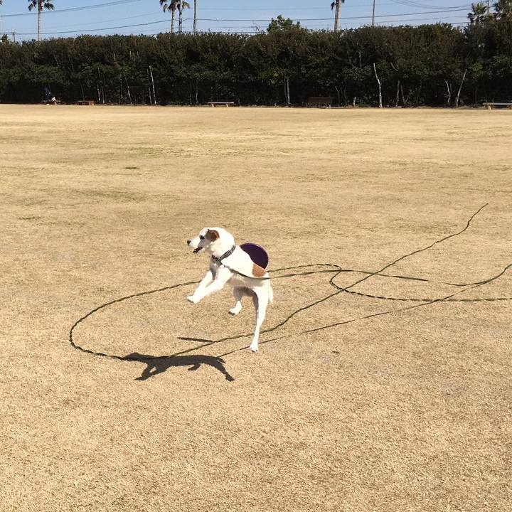 718e702c 5592 4d4a 912e 17835b89bb9c