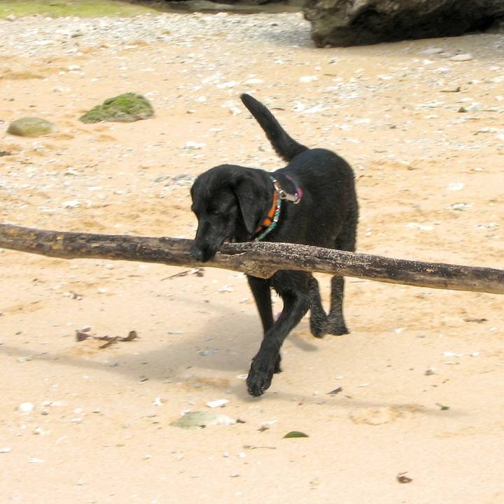 718e8183 5924 4a7a 953c 30ec434f84b8