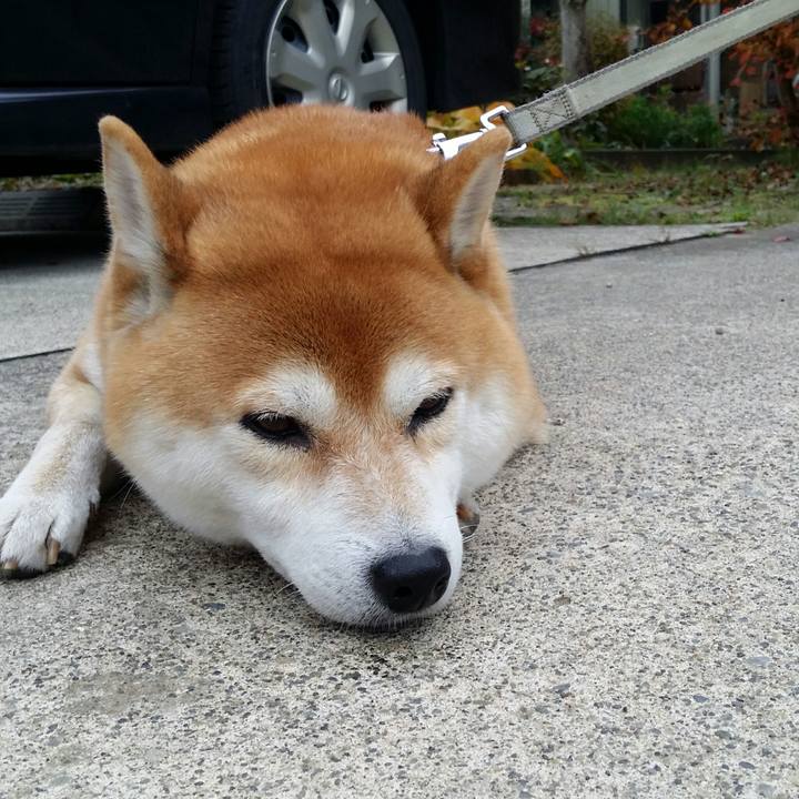 718e98a3 1780 455e 8325 26f1687f77d0