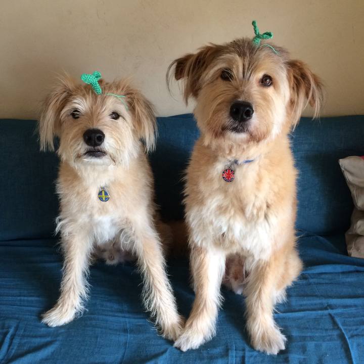 718e9af4 b5da 4bd0 8297 4923ed61c3b9