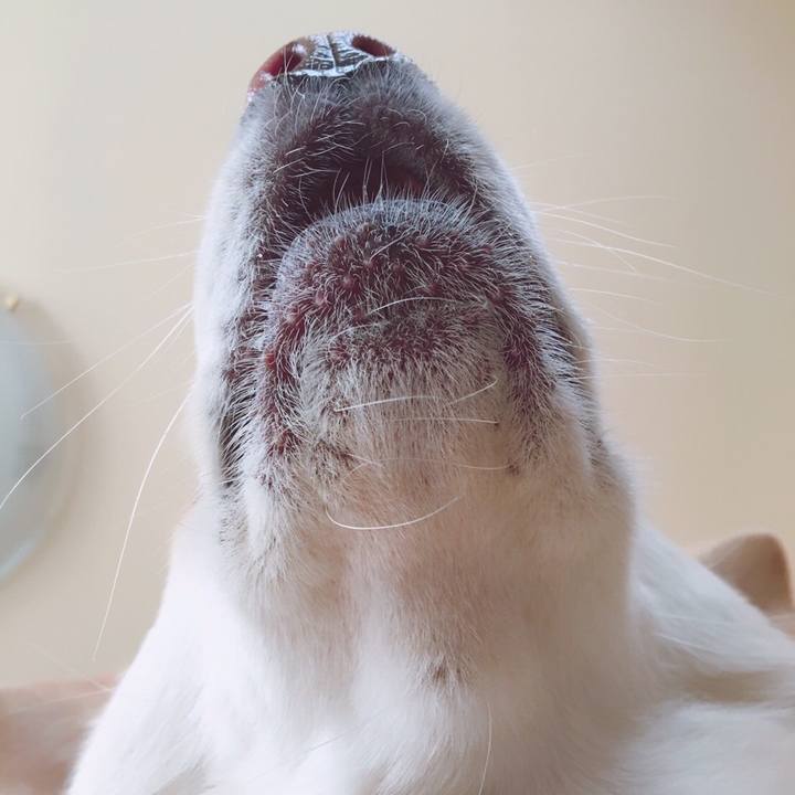 718f9d1a 51ec 4fab b438 ea733438a74f