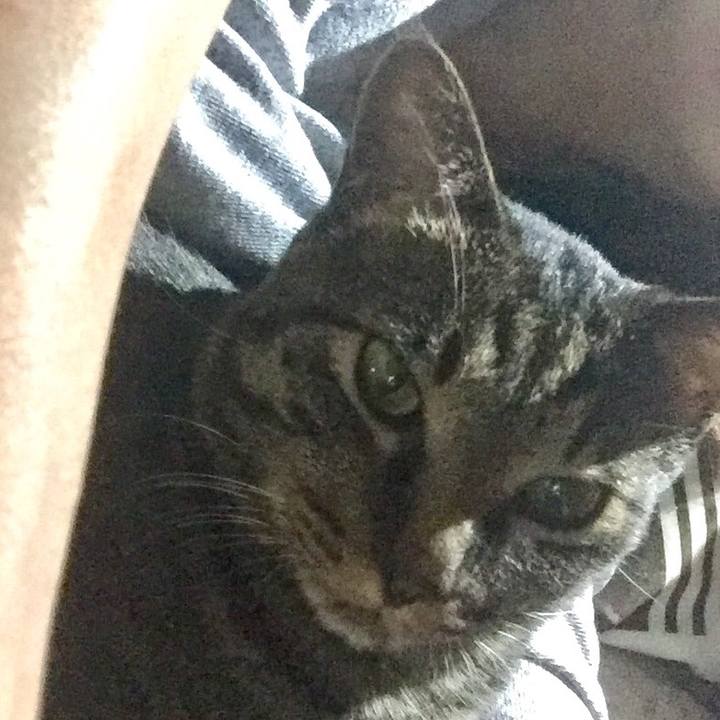 7190446d 9c16 448e a234 c4c24d5c84f5