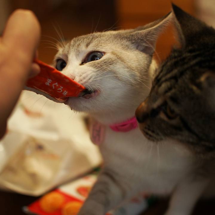 71909e93 88d7 4345 b130 0d56488efd38