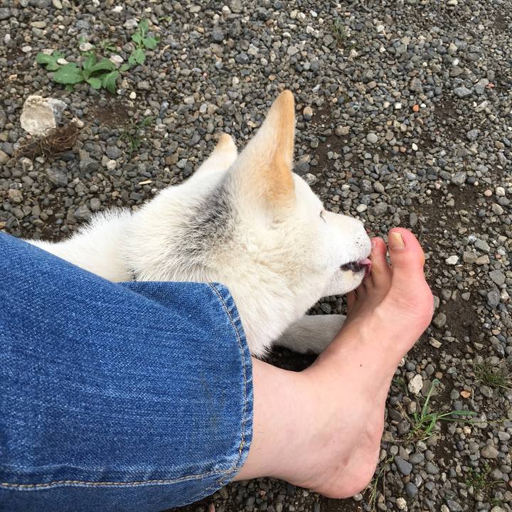 7191268f 8f52 4328 a5ae fb02d7ef5b7a