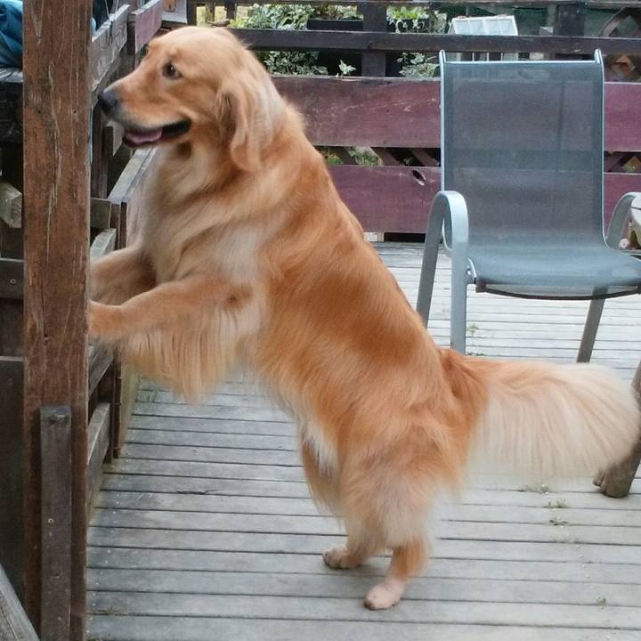 71913628 6adb 45a4 a947 320d554d81ac