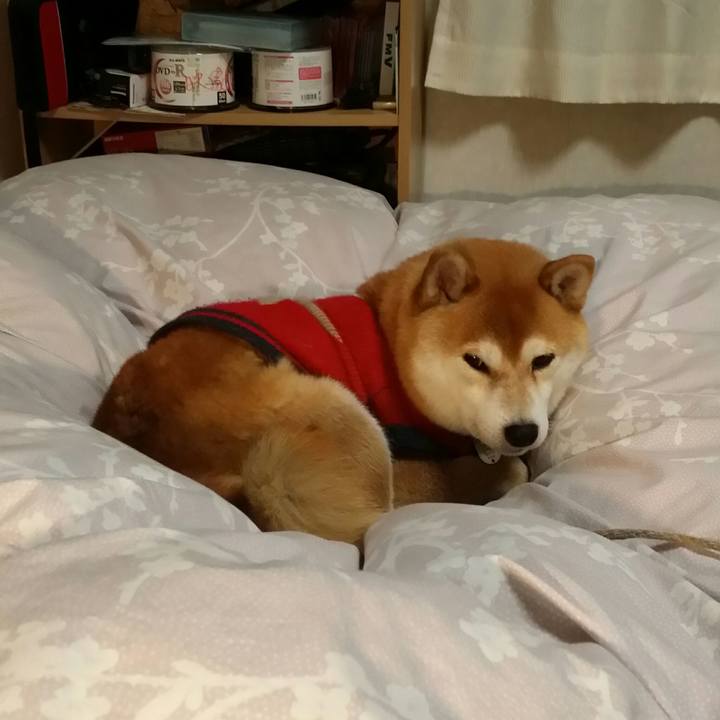 71916077 356b 42e3 b639 282dca1d5e48