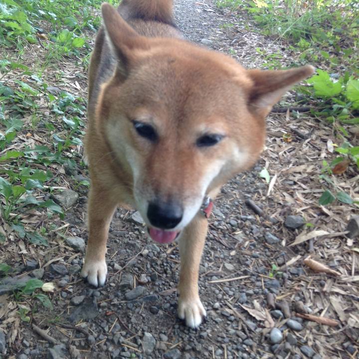 71918790 aaa9 4751 a2b2 16997d61d70d