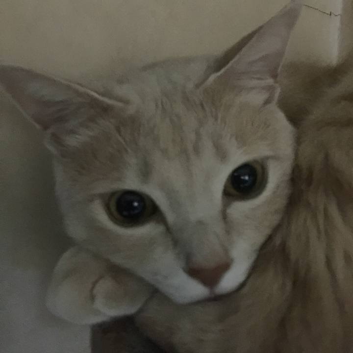 71927549 cda1 4eea 8e49 b7819c0d7c71