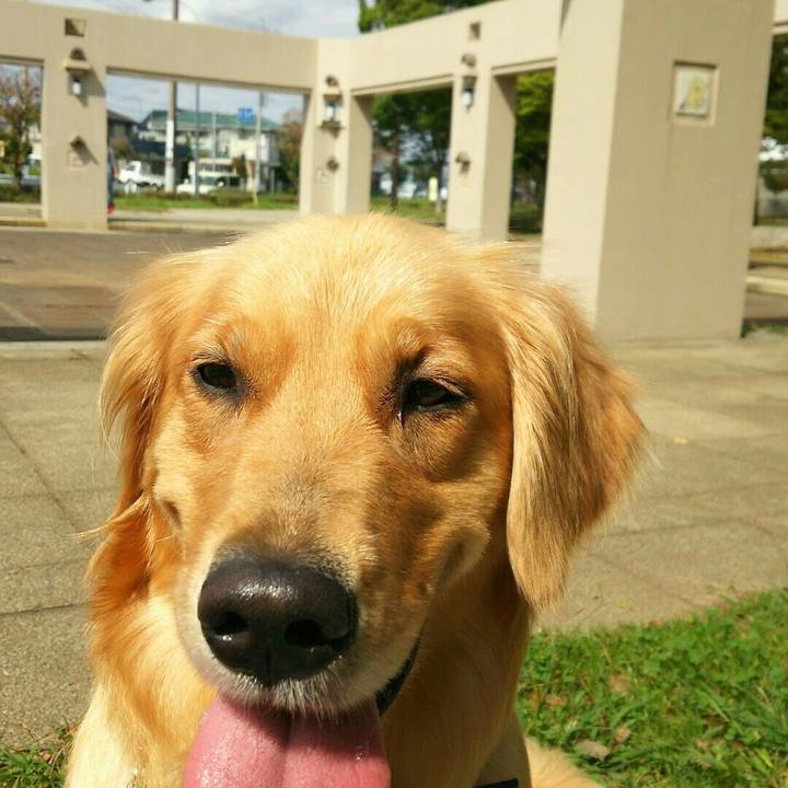 719287b7 331f 4c6b a00d 6350031254d2