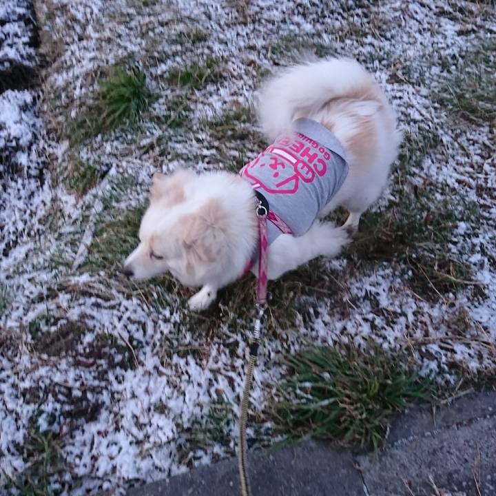 71930246 3536 4fc8 9e39 58a0b05fd463