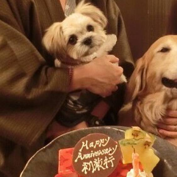 71930da5 4a81 44e8 a310 9af985d0ab10