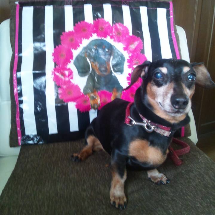 7193233d 3ac6 4efb a19c 11e6a41051d9