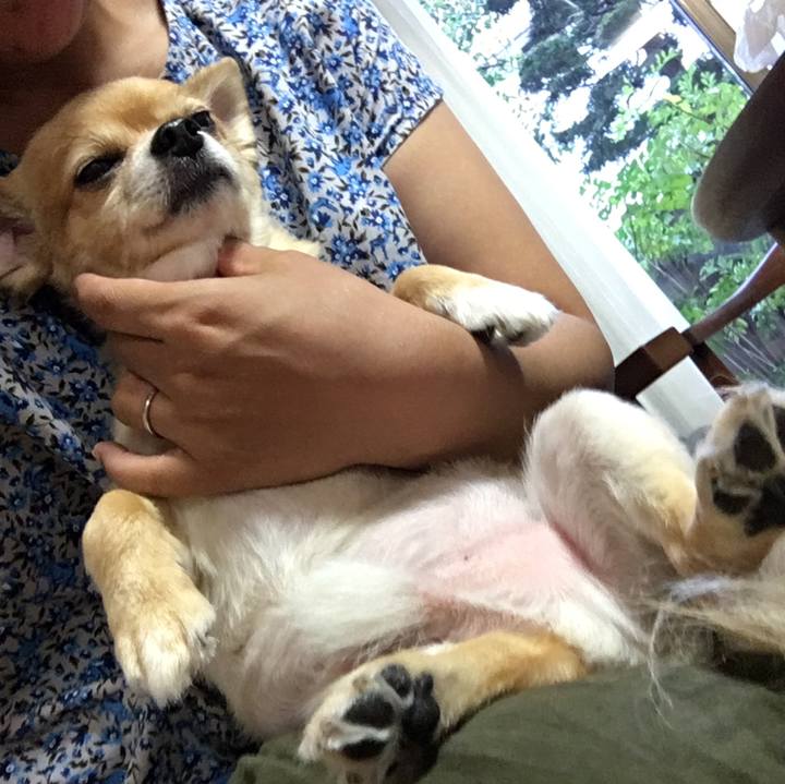 7193b7f9 8e67 4f1d 8fc9 12e36d40f2ea