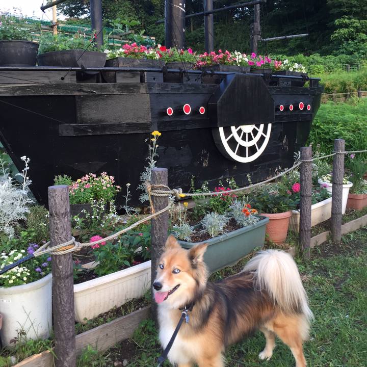 7194a4d6 eae5 4afb 9a30 191c98a498c6