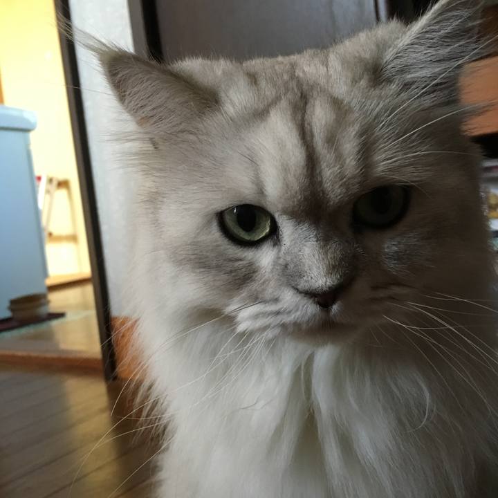 7194ceae 8cbc 4f69 ae5d 0e15e4b47451