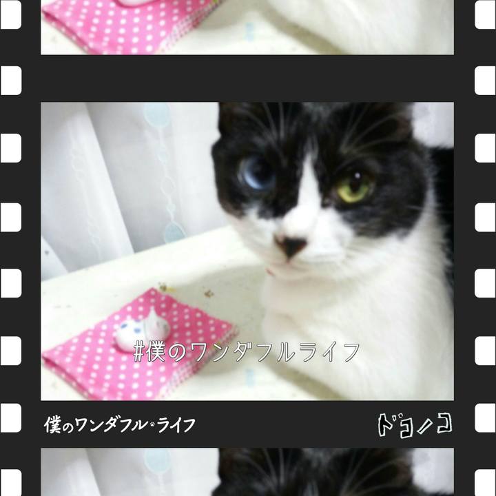 7195ee3c 46f8 4190 b8c0 d700793eeeb4