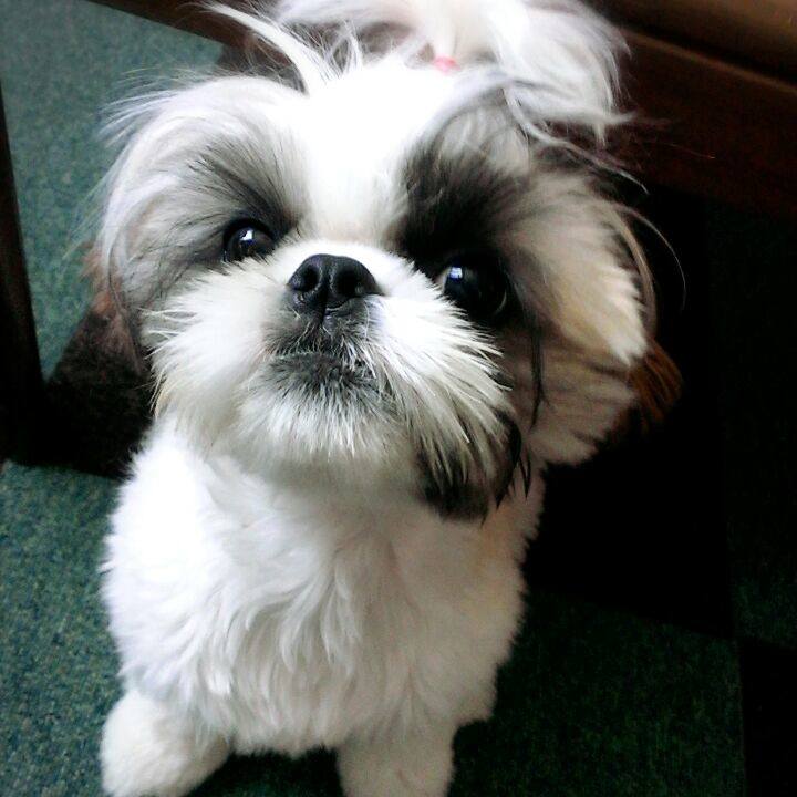 7196bf1e 5967 47dc 9267 47149b76b973