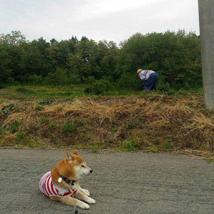 7196e32f bbd5 424b 8920 9925564389dc