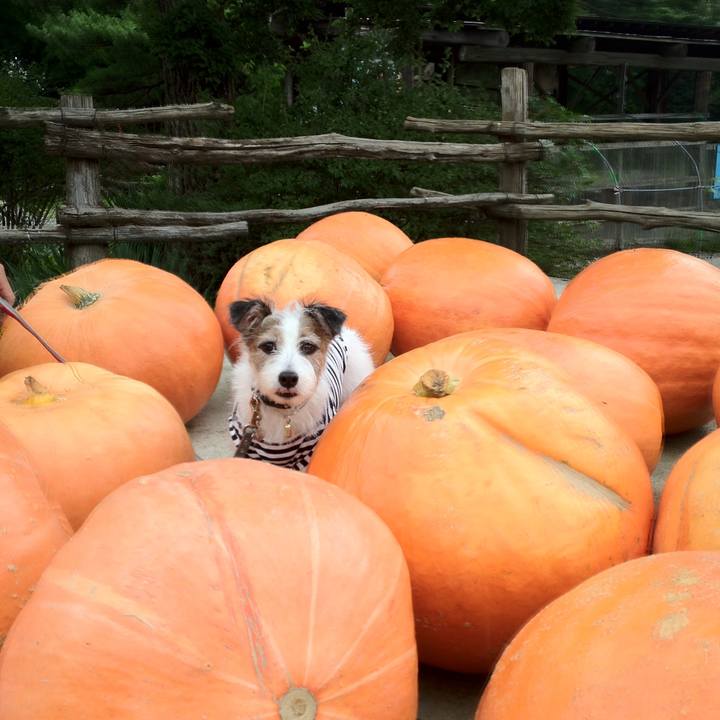 71973dde ad0f 4d0a 8100 8ecbe9540365