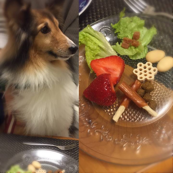 71979321 b424 4e21 88cb 8f38a340e73b