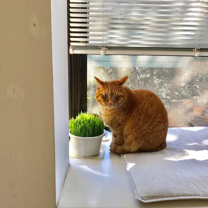 71980a47 7ff6 44d3 b004 747e0da5f961