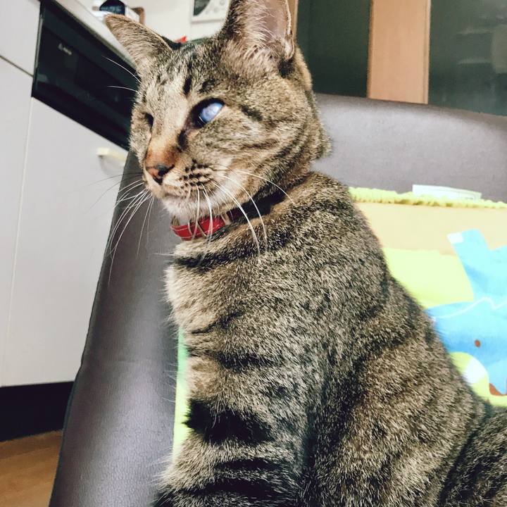 71984076 afa1 4948 bde1 f04d93f2253d