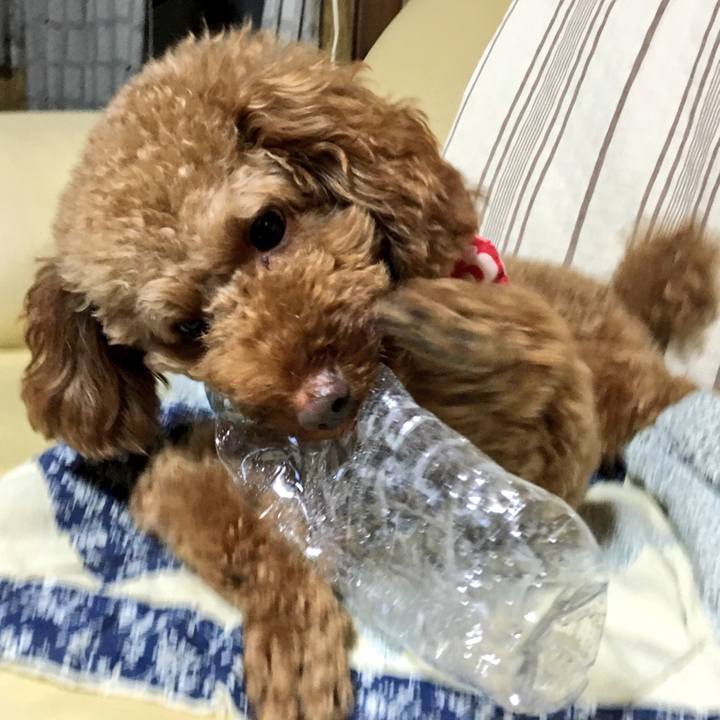 71999a4c ff43 4313 9038 5c0c83dba0bf