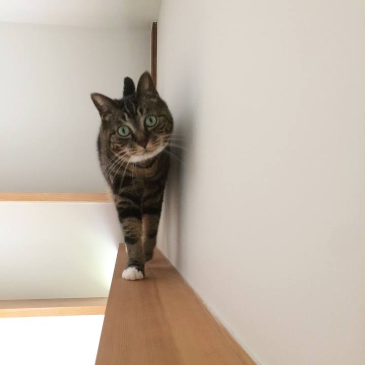 719a5fd7 1c99 4a66 94a7 759ad78e88f3