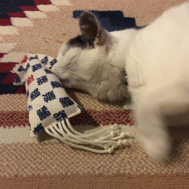 719ab2bc 1ceb 49cc 810d 715dec743493