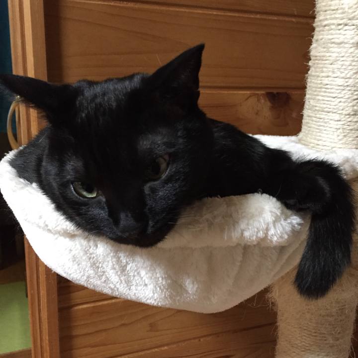 719ab8dd 4444 47f7 ba89 549a09348c8f