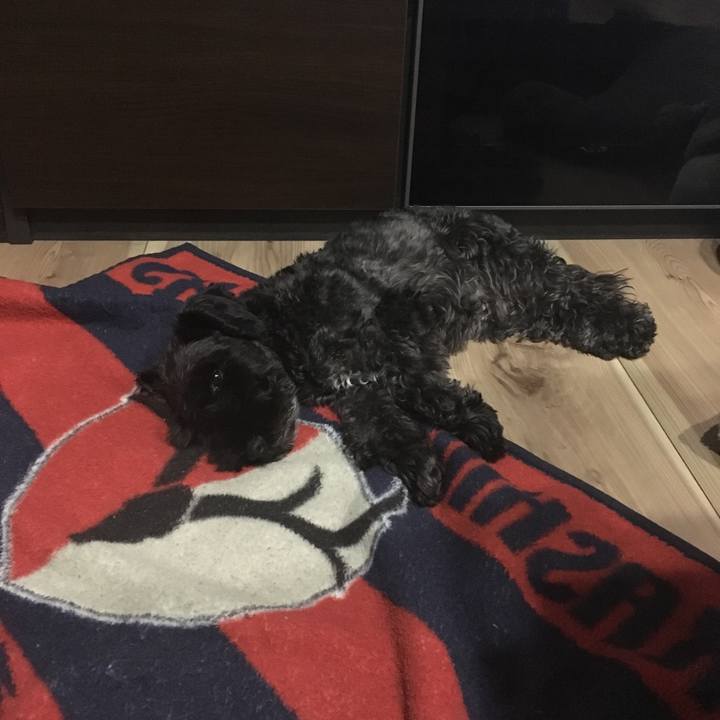 719b2281 e652 4b94 9ea1 10e185fb53f6