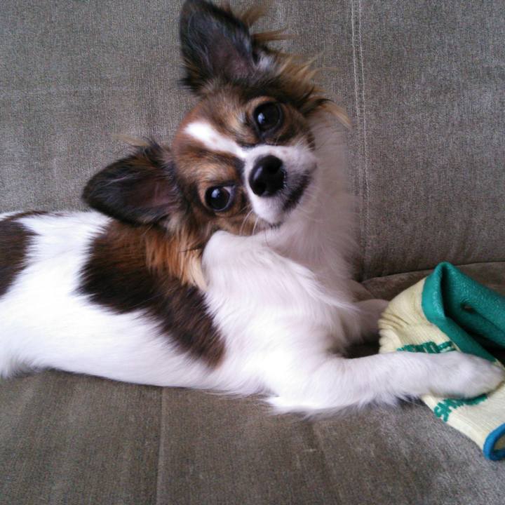 719b231b ac08 4bc9 8405 a65e109865e8